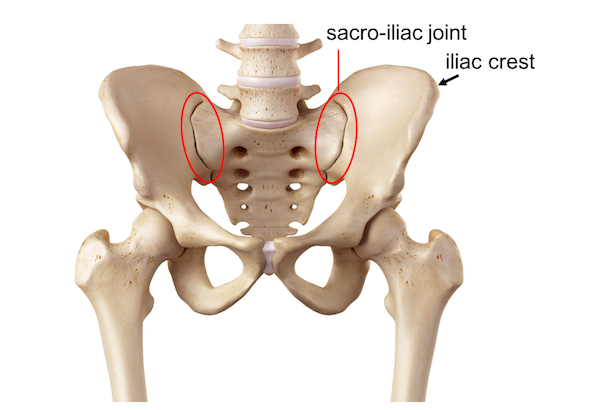 Sacroiliac Joint Inflamation Sacroiliitis - 600x410 - png Sacroiliac Articulation
